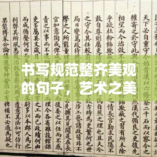 書寫規(guī)范整齊美觀的句子，藝術(shù)之美的文字打造