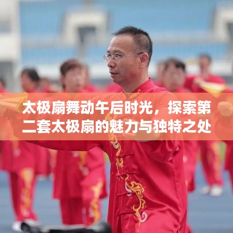 太極扇舞動午后時(shí)光，探索第二套太極扇的魅力與獨(dú)特之處