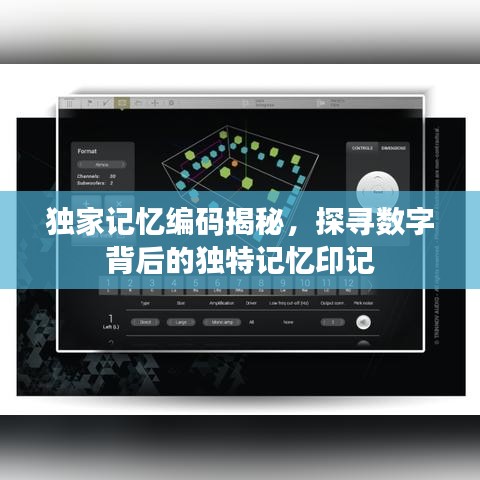 獨家記憶編碼揭秘，探尋數(shù)字背后的獨特記憶印記
