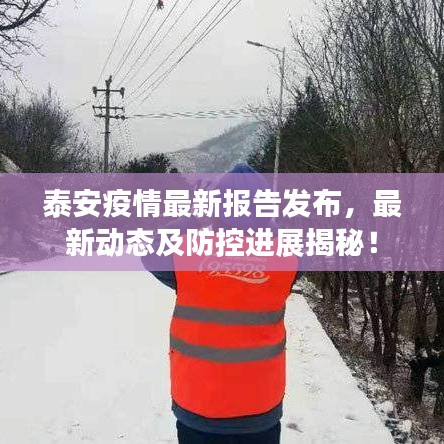 泰安疫情最新報告發(fā)布，最新動態(tài)及防控進(jìn)展揭秘！