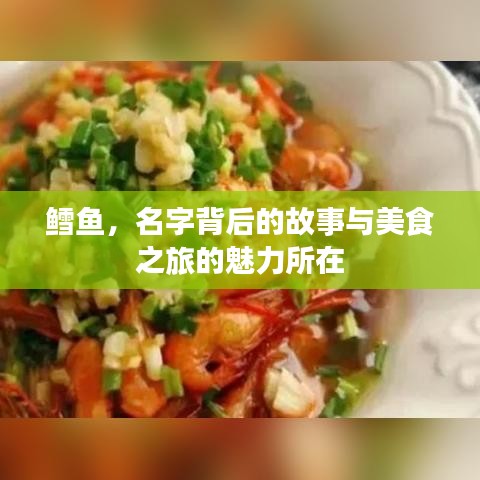 鱈魚，名字背后的故事與美食之旅的魅力所在
