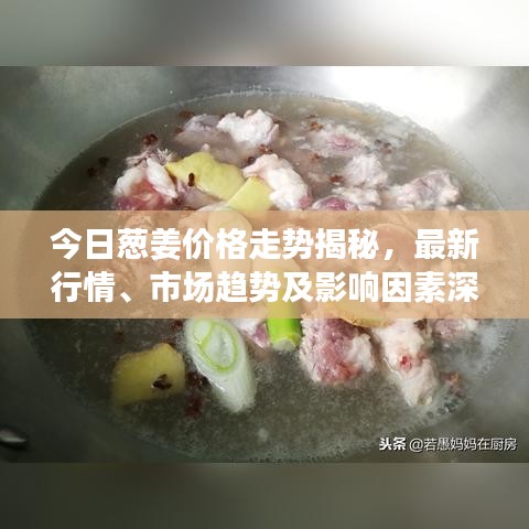 今日蔥姜價格走勢揭秘，最新行情、市場趨勢及影響因素深度解析
