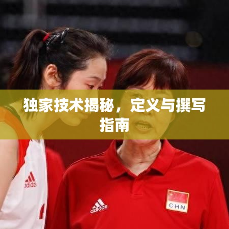 獨(dú)家技術(shù)揭秘，定義與撰寫(xiě)指南