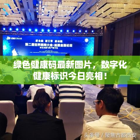 綠色健康碼最新圖片，數(shù)字化健康標(biāo)識(shí)今日亮相！