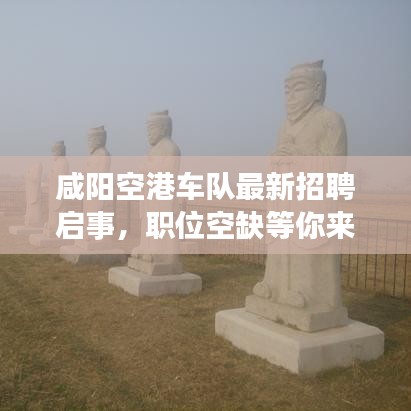 咸陽空港車隊(duì)最新招聘啟事，職位空缺等你來挑戰(zhàn)！