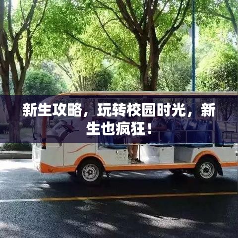 新生攻略，玩轉(zhuǎn)校園時光，新生也瘋狂！