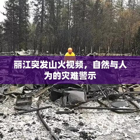 麗江突發(fā)山火視頻，自然與人為的災(zāi)難警示