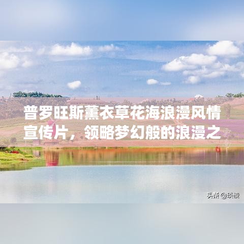 普羅旺斯薰衣草花海浪漫風(fēng)情宣傳片，領(lǐng)略夢幻般的浪漫之旅！