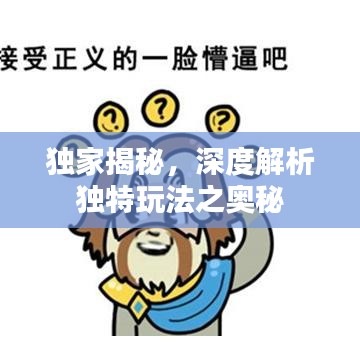 獨(dú)家揭秘，深度解析獨(dú)特玩法之奧秘