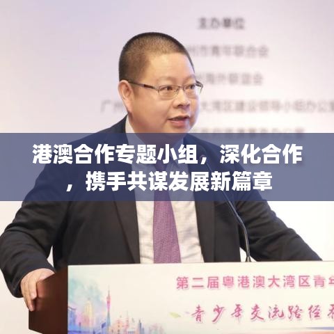 港澳合作專題小組，深化合作，攜手共謀發(fā)展新篇章