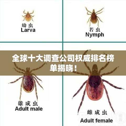 全球十大調查公司權威排名榜單揭曉！