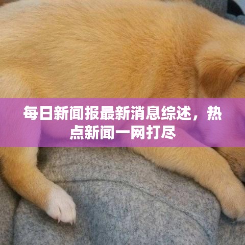 每日新聞報最新消息綜述，熱點新聞一網(wǎng)打盡